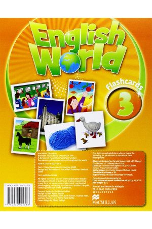 English World 3 Flashcards - English World | Litterula