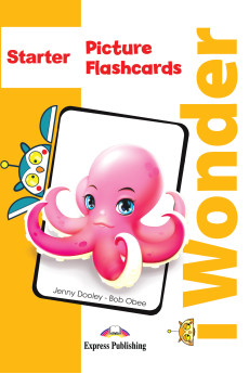 iWonder Starter Picture Flashcards