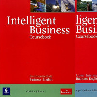 Intelligent Business (7)